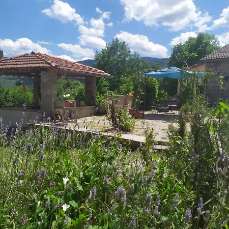 La Corte Dei Cerri- Il Piccolo 3*