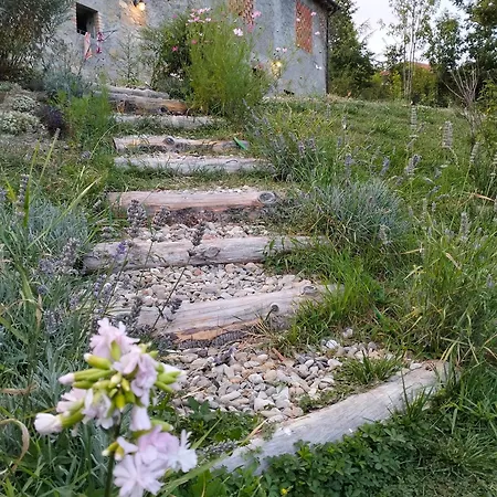 La Corte Dei Cerri- Il Piccolo *