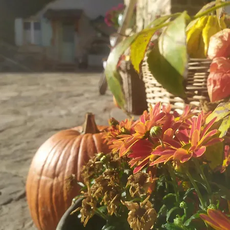 La Corte Dei Cerri- Il Piccolo 住宿加早餐酒店 Frassinoro