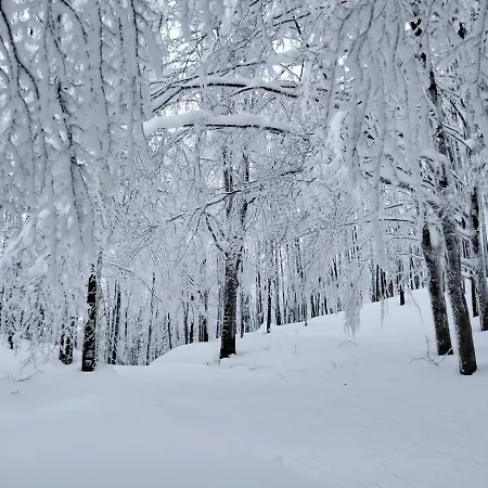 La Corte Dei Cerri- Il Piccolo 住宿加早餐酒店 3*