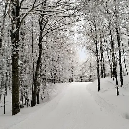 La Corte Dei Cerri- Il Piccolo 住宿加早餐酒店 3*