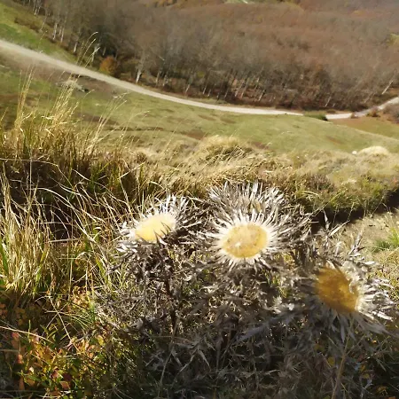 住宿加早餐酒店 La Corte Dei Cerri- Il Piccolo