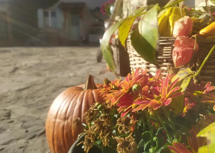 La Corte Dei Cerri- Il Piccolo Bed & Breakfast Frassinoro