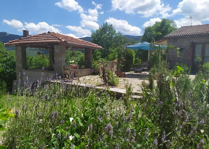 La Corte Dei Cerri- Il Piccolo 3*