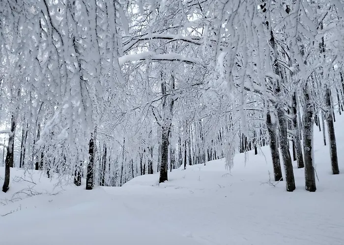 La Corte Dei Cerri- Il Piccolo Panzió 3*