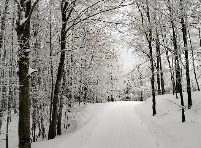 La Corte Dei Cerri- Il Piccolo Bed & Breakfast 3*