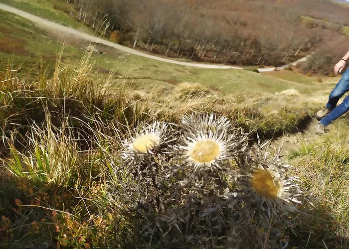 Panzió La Corte Dei Cerri- Il Piccolo