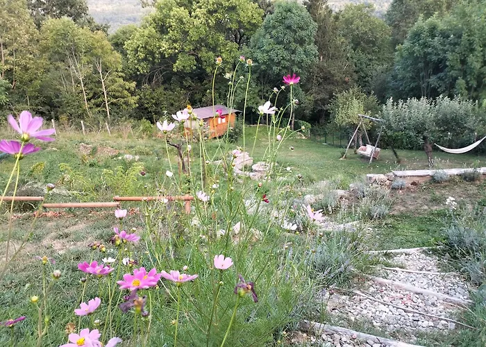 La Corte Dei Cerri- Il Piccolo Bed & Breakfast